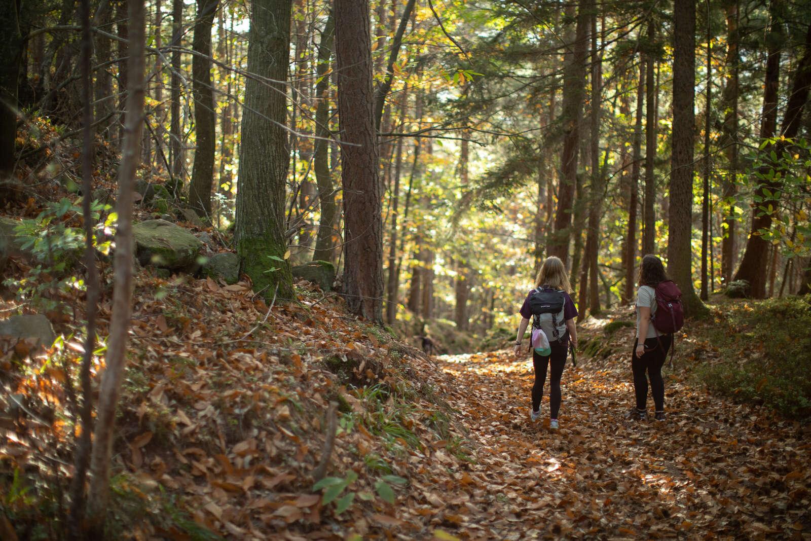 Hiking tours