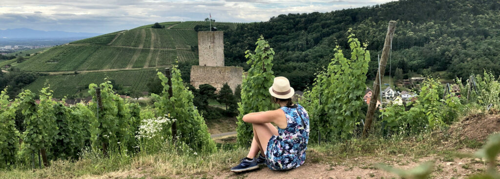 Château du Wineck à Katzenthal