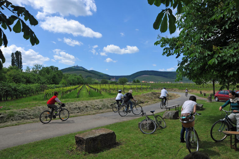 Slow Up sur la Route des Vins d'Alsace