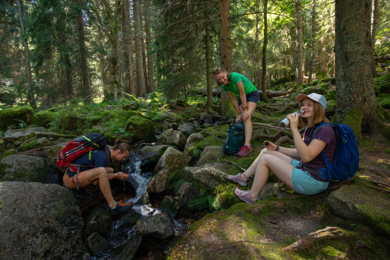 Randonnée pédestre autour du Lac Noir dans le Massif des Vosges - pause en forêt