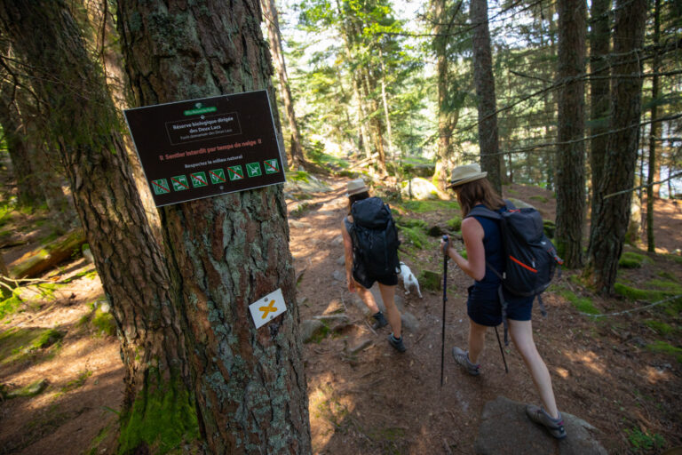 Respect de la nature lors de vos randonnées dans la vallée de Kaysersberg : balisage panneaux dans la forêt