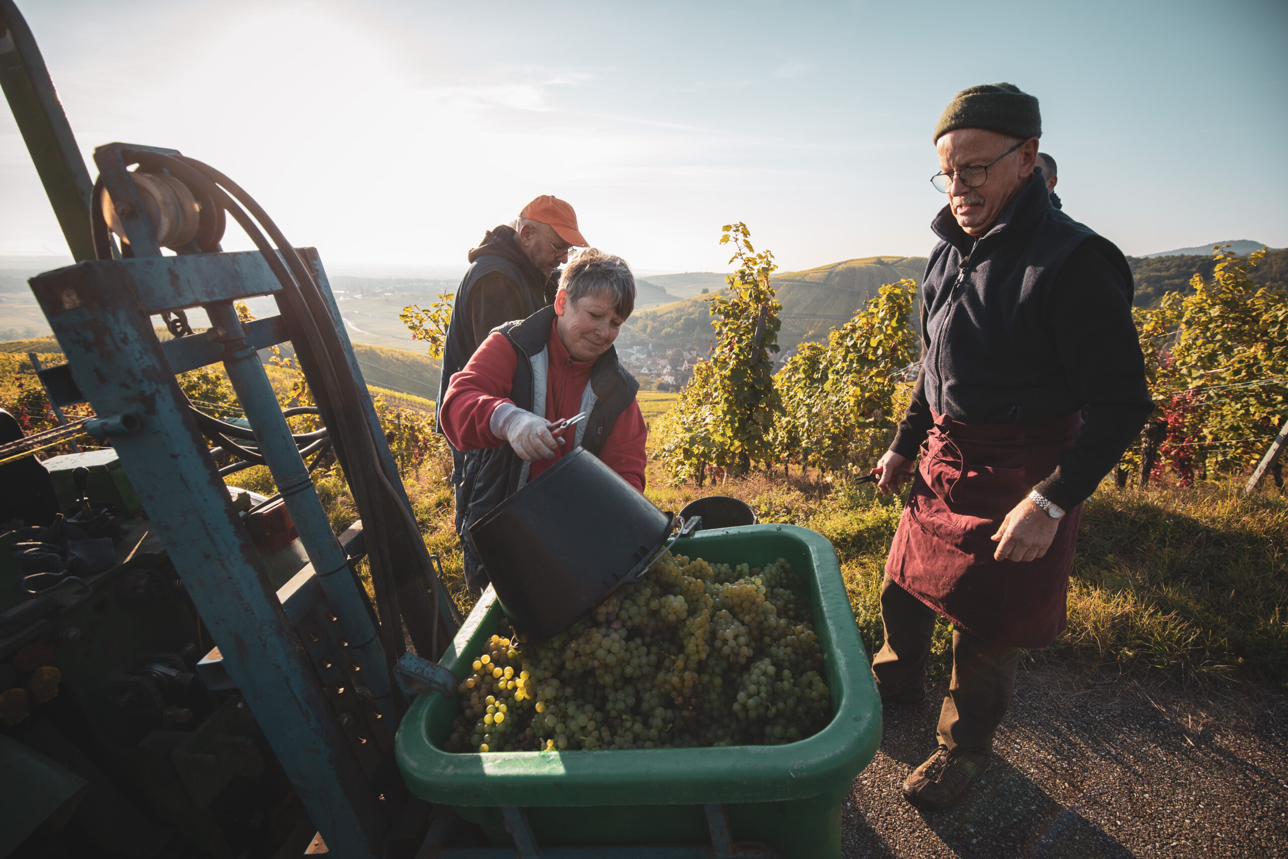Festivals and events on the Alsace Wine Route