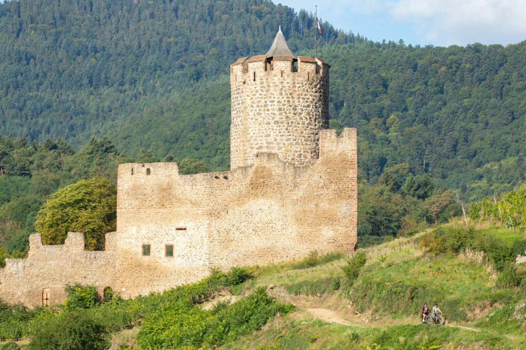 Le château du Schlossberg à Kaysersberg