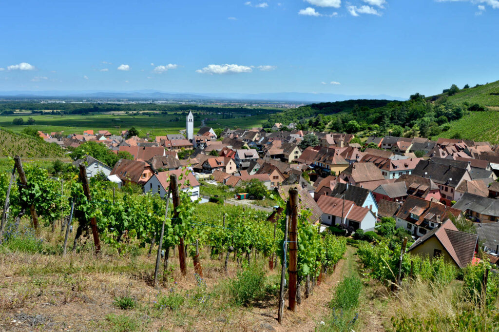 Katzenthal sur la Route des Vins d'Alsace