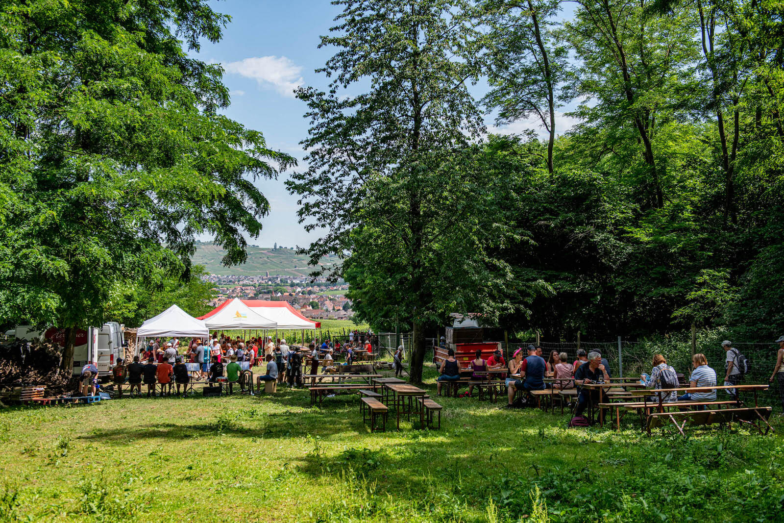 Marche gourmande à Ammerschwihr