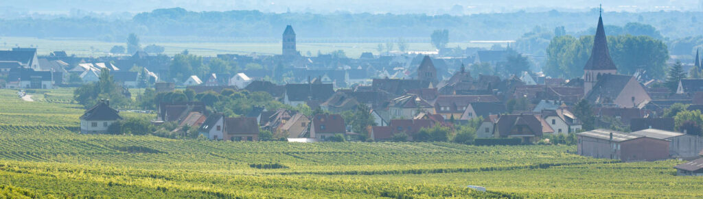 Les villages de Kientzheim et Sigolsheim sur la Route des Vins d'Alsace