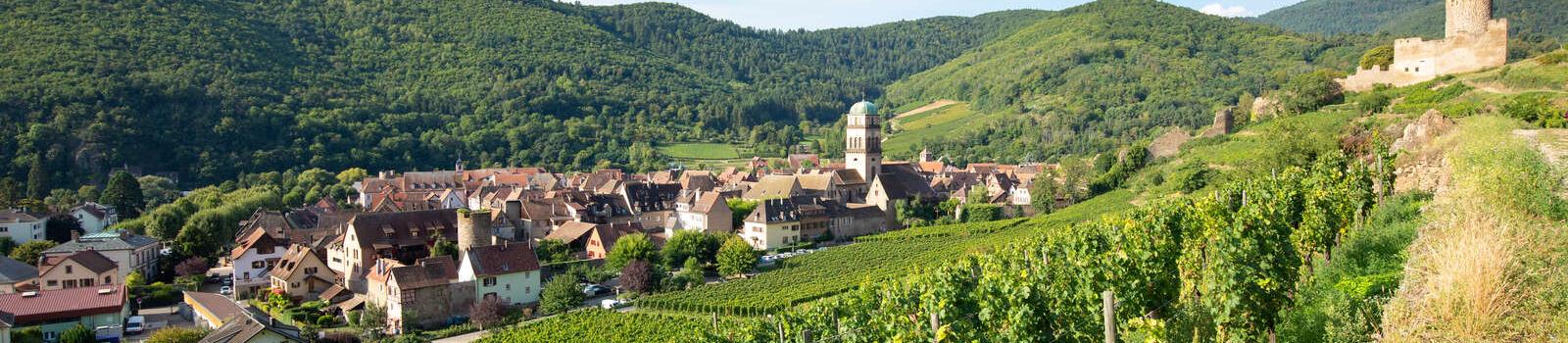 Dans le vignoble à Kaysersberg Dans la vignoble à Kaysersberg