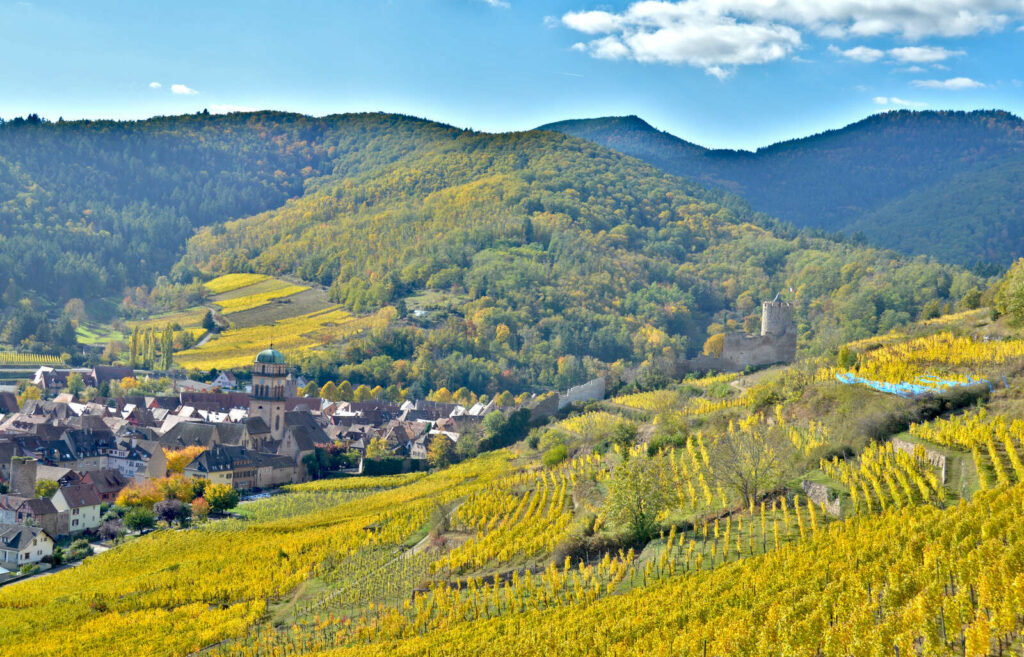 Le village de Kaysersberg et son château Schlossberg en automne