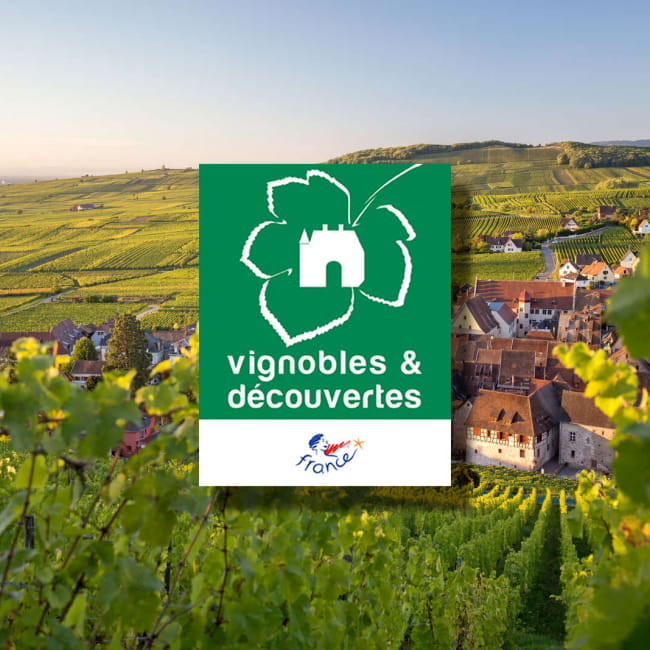 Das gesamte elsässische Weinbaugebiet trägt das Label “Vignobles & Découvertes”