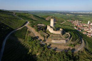 Le château du Wineck surplombant les vignes à Katzenthal en Alsace : vignoble et château