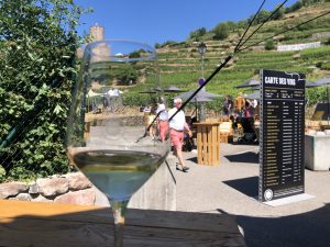 Dégustation de vin au pied des vignes de Kaysersberg