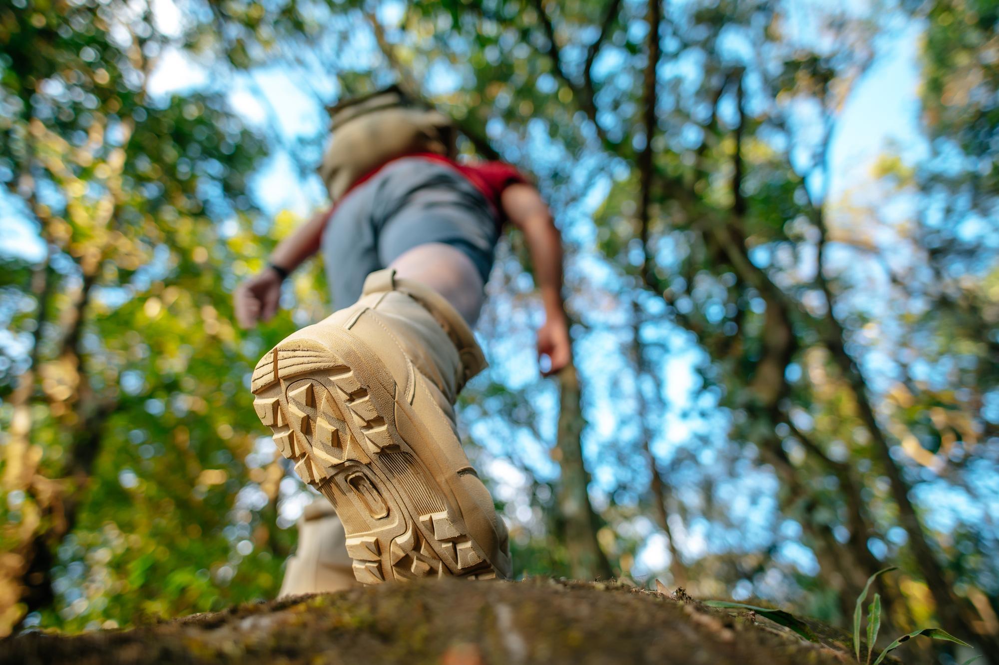 Unsere tollen Wanderungen zu jeder Jahreszeit