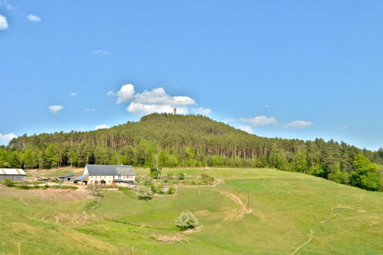 Sommet du Faudé à Orbey / Lapoutroie