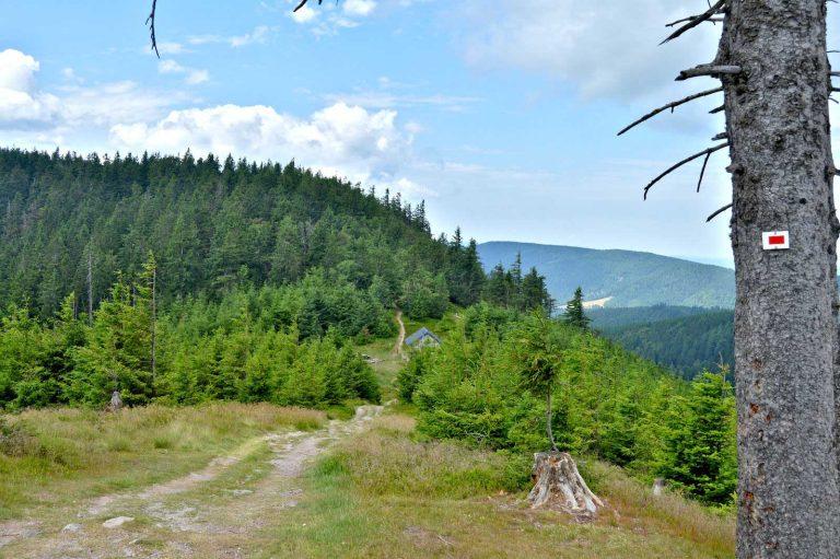 Sommet du Grand Brézouard : sentier de randonnée