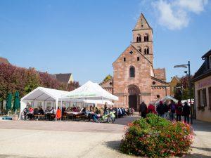 Marche gourmande à Sigolsheim