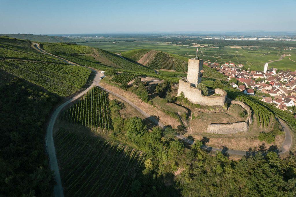 Château du Wineck au milieu des vignes de Katzenthal (Alsace)