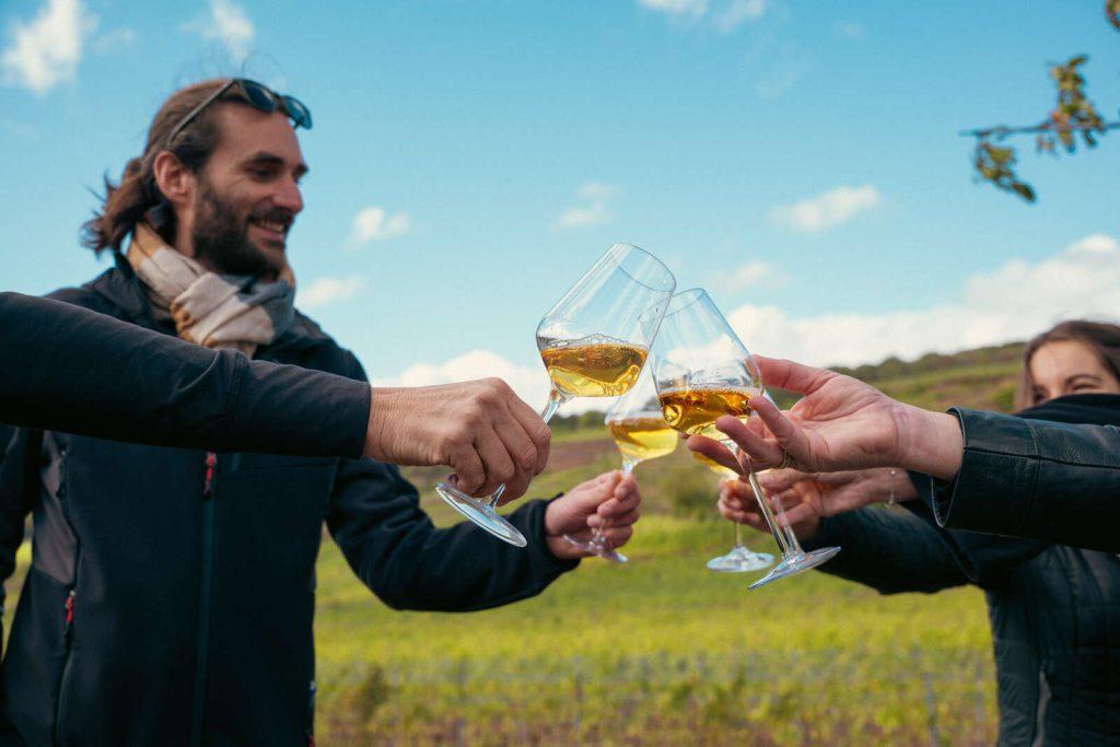 Pique-nique chez le vigneron indépendant d'Alsace © D. Levêque - ADT