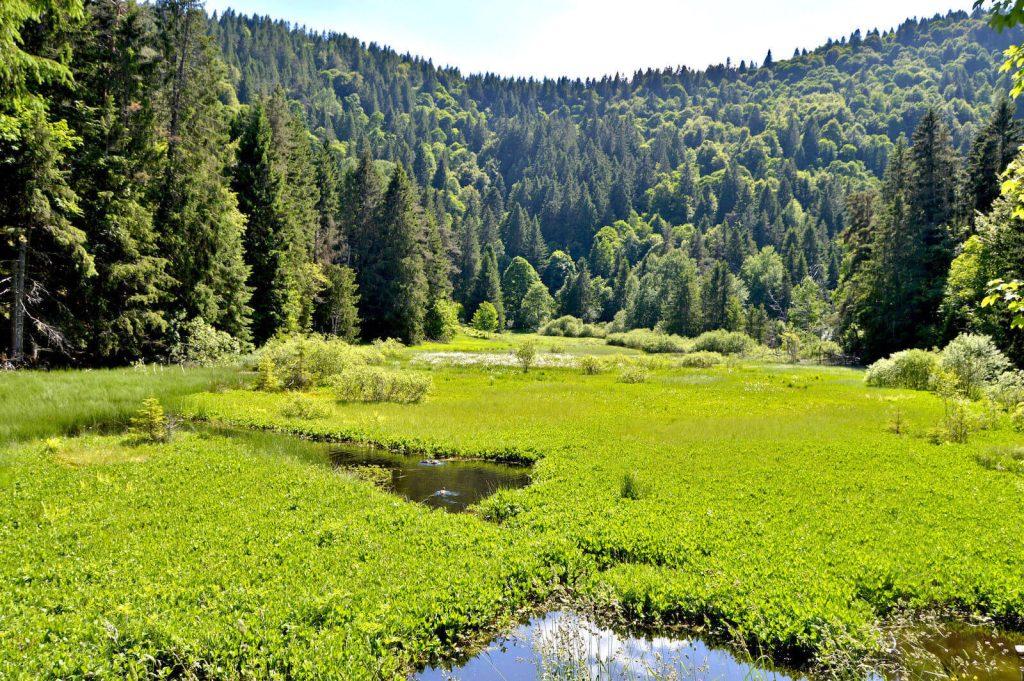 Etang du Devin à Lapoutroie