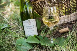 apero-gourmand-au-domaine-heitzmann-alphonse-ammerschwihr