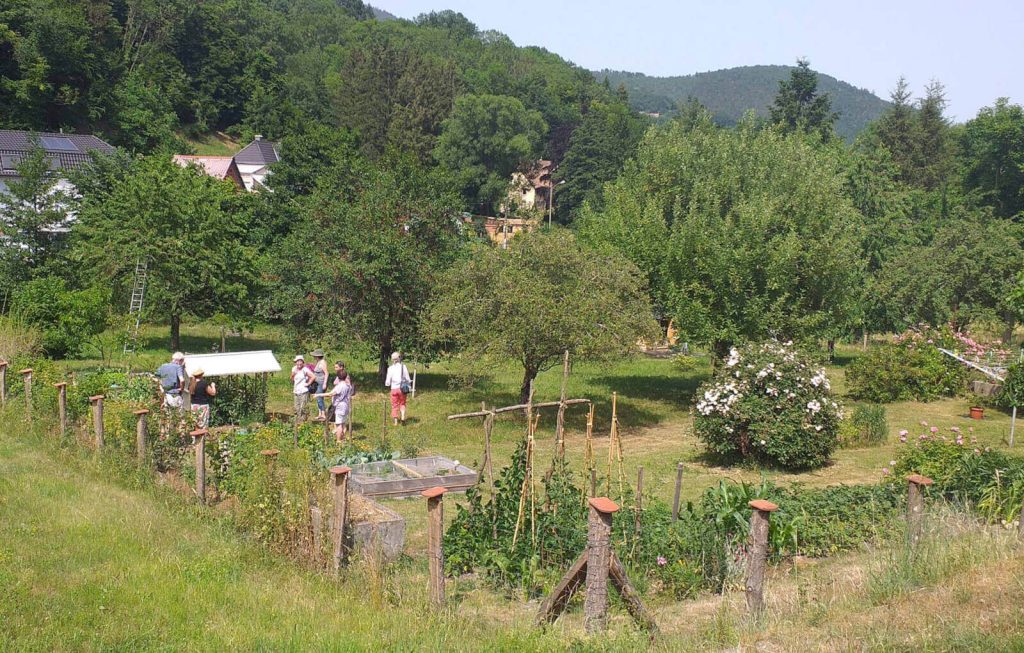 rendez-vous-aux-jardins-martine-roses-tomates-hachimette-lapoutroie