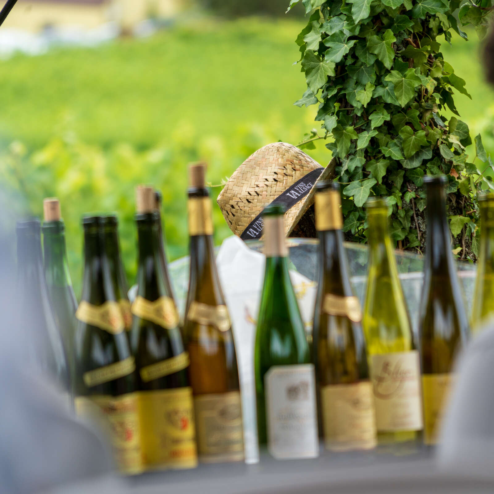 7 Grands Crus dans la vallée de Kaysersberg