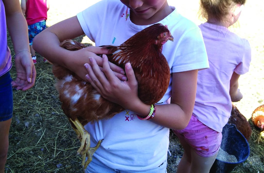 Visite en famille à la ferme de la Bassette à Labaroche