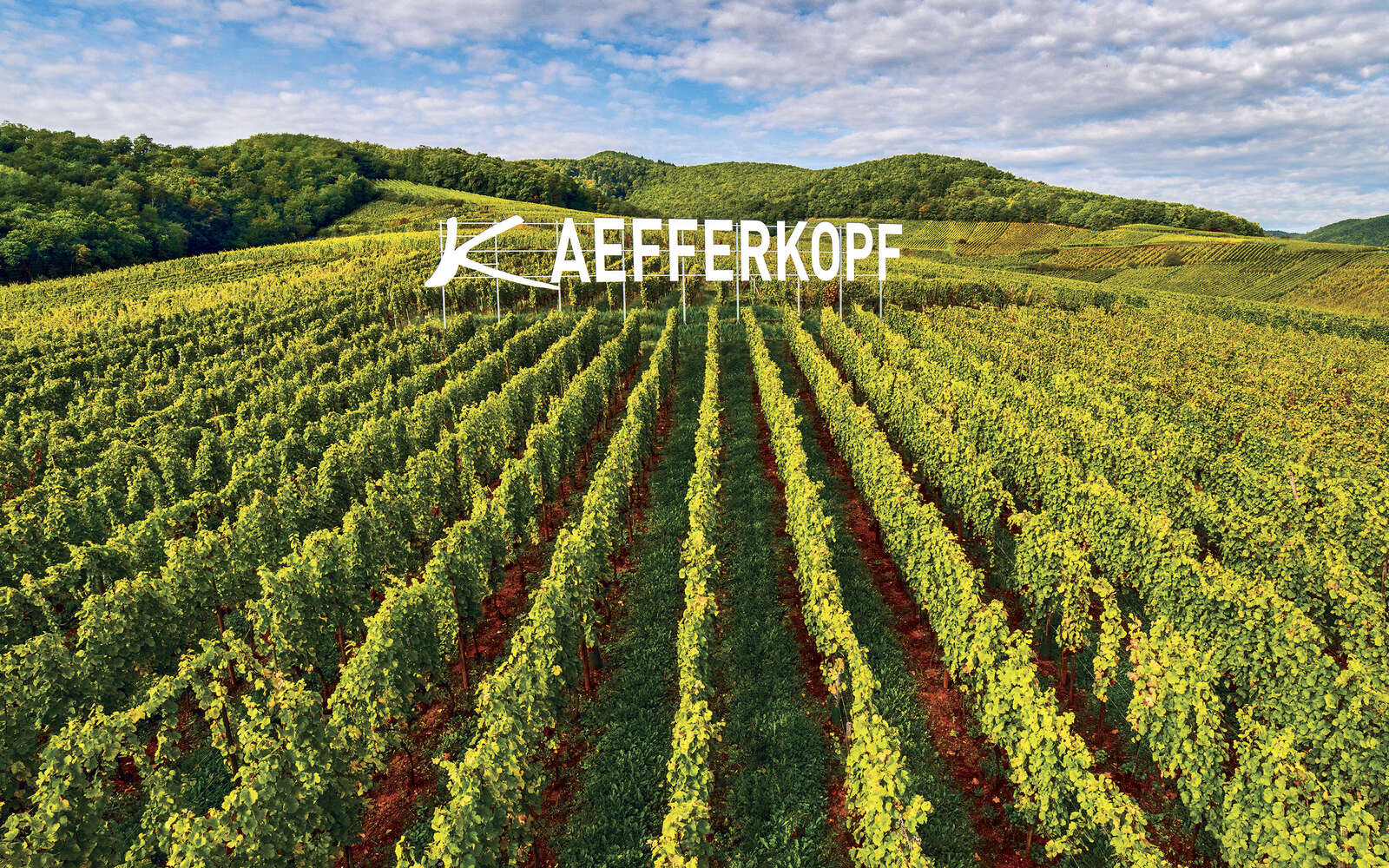 Kaefferkopf, Alsace’s latest Grand Cru