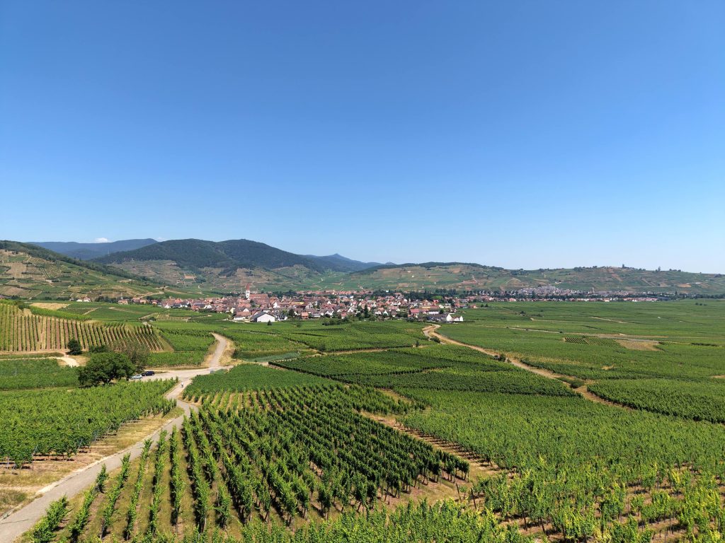Vue sur le vignoble d'Ammerschwihr - vue drône Alsace